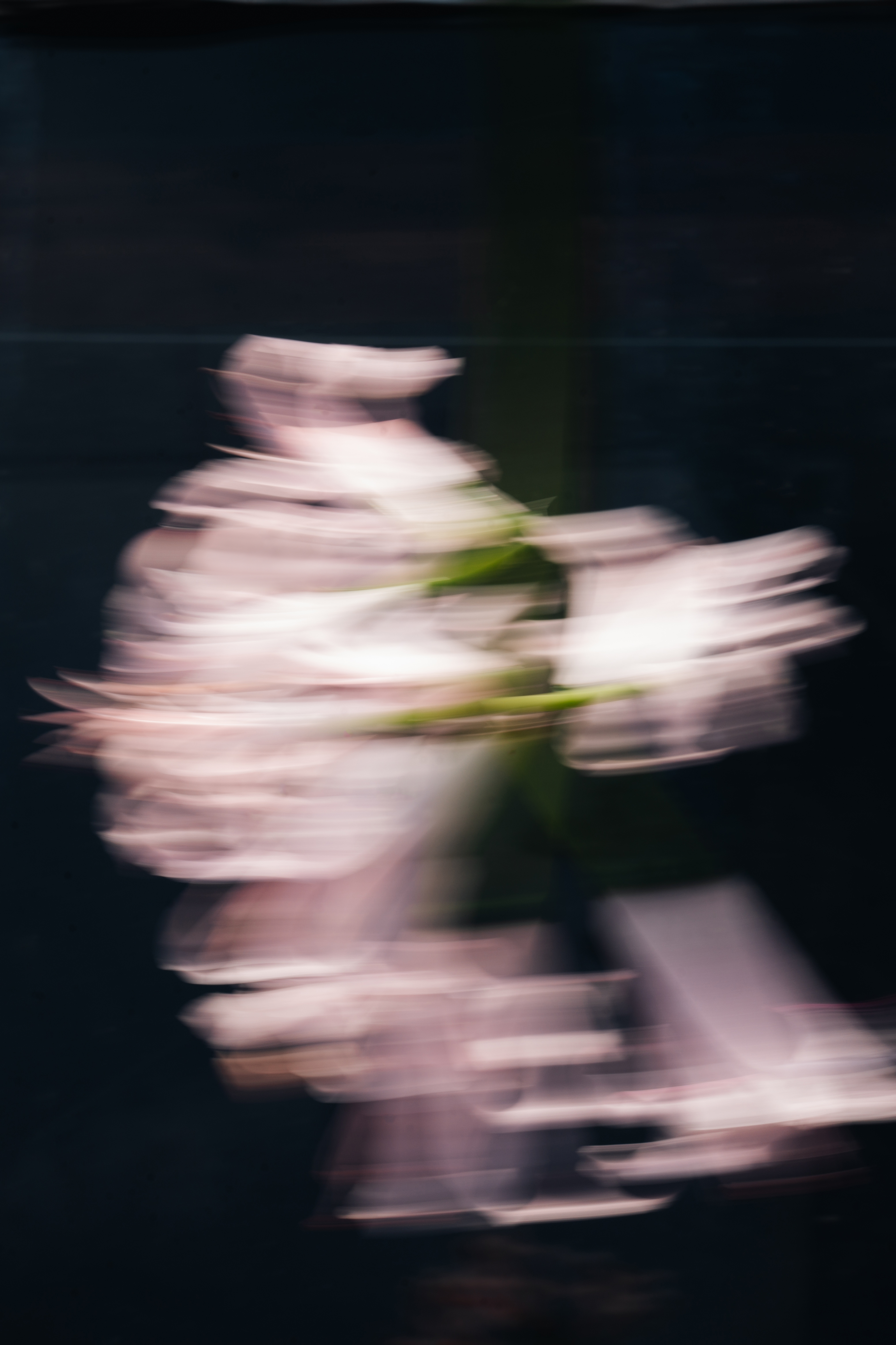 Blurry flower  Blurry flower